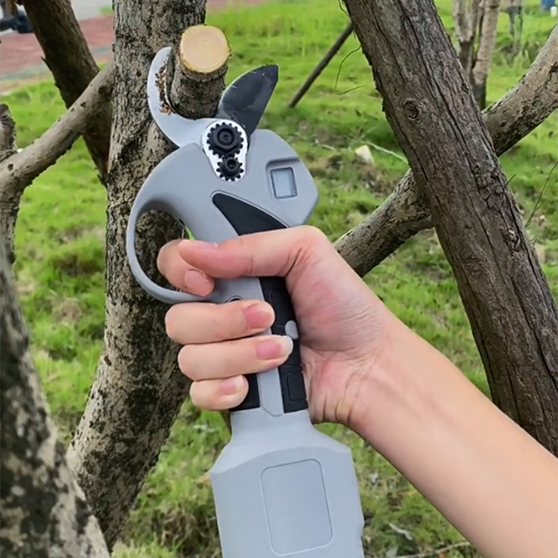 Spare 130 € – nur heute gültig!💥Elektrische Gartenschere mit Akku & Ladegerät
