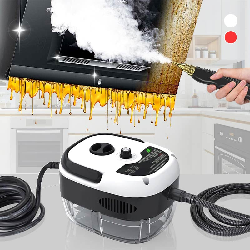 🔥2025 neuer, verbesserter heißer Verkauf🔥2500W-Handdruck-Hochtemperatur-Dampfreinigungsmaschine