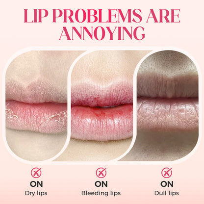 Obst- und Blumen-Dufthydratierender Lippenöl mit leuchtendem Finish